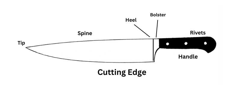 Knife labeled with its parts
