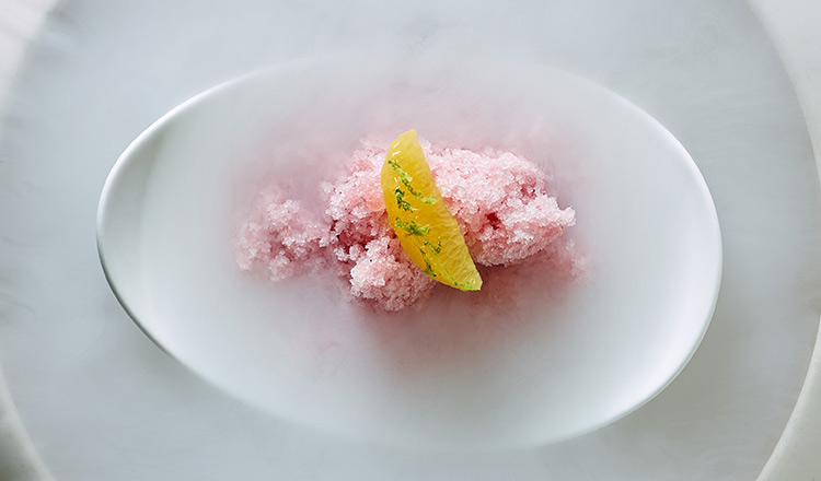 Red wine granita