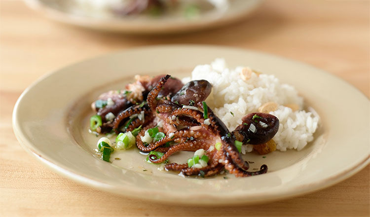 Grilled baby octopus