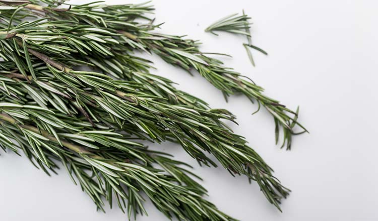 Rosemary